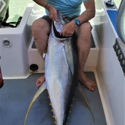 13 gal photo - peche - hauteur 935