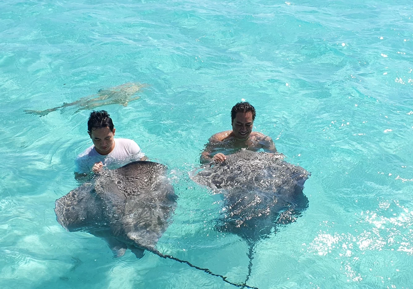 19 gal photo - lagon - hauteur 935