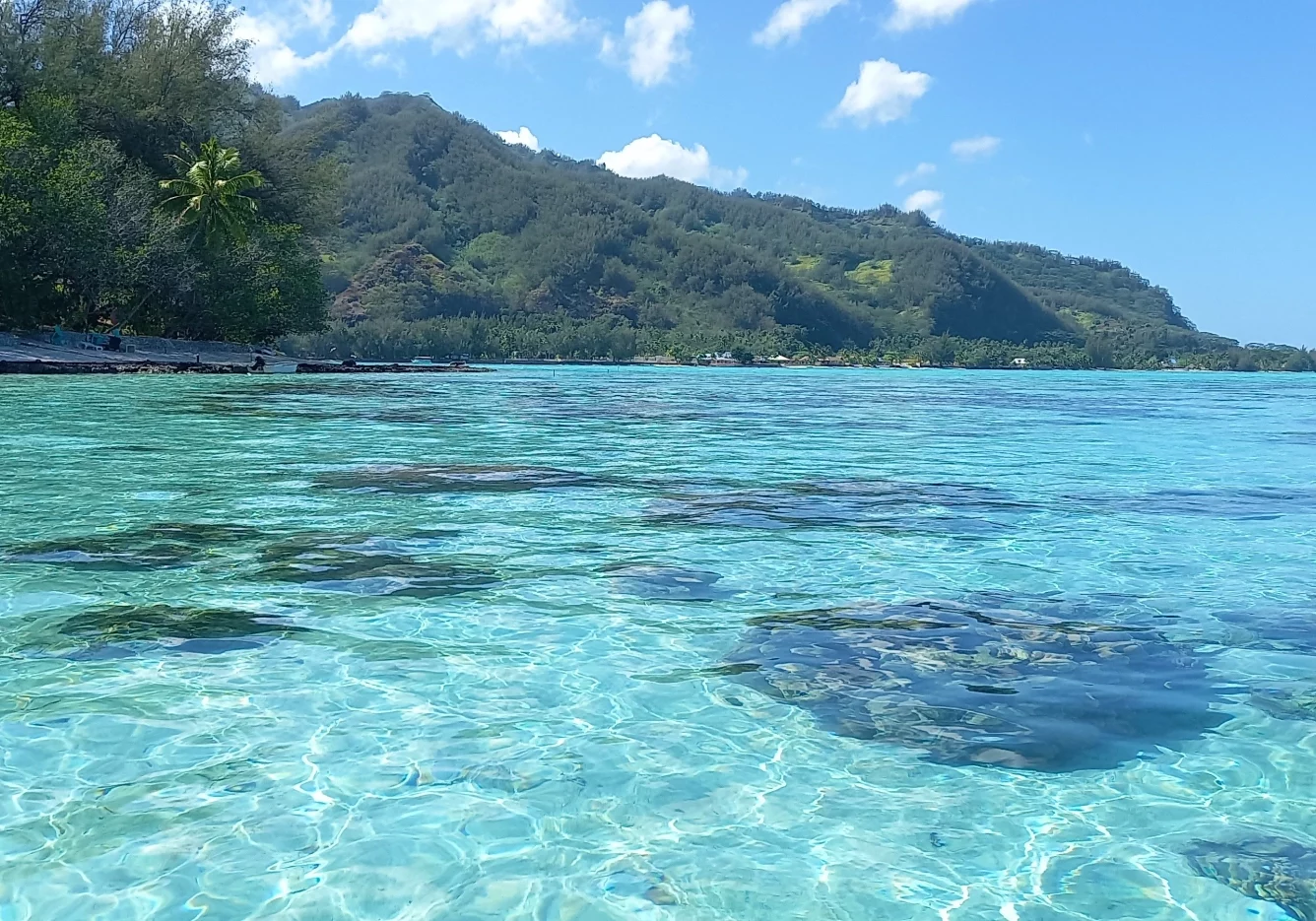 20 gal photo - lagon - hauteur 935