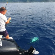 24 gal photo - peche - hauteur 935