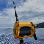 29 gal photo - peche - hauteur 935