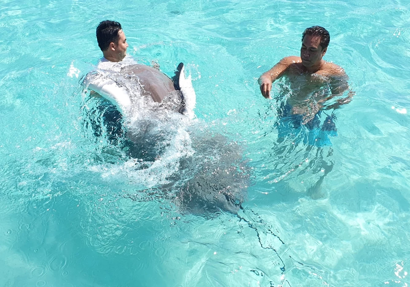 30 gal photo - lagon - hauteur 935