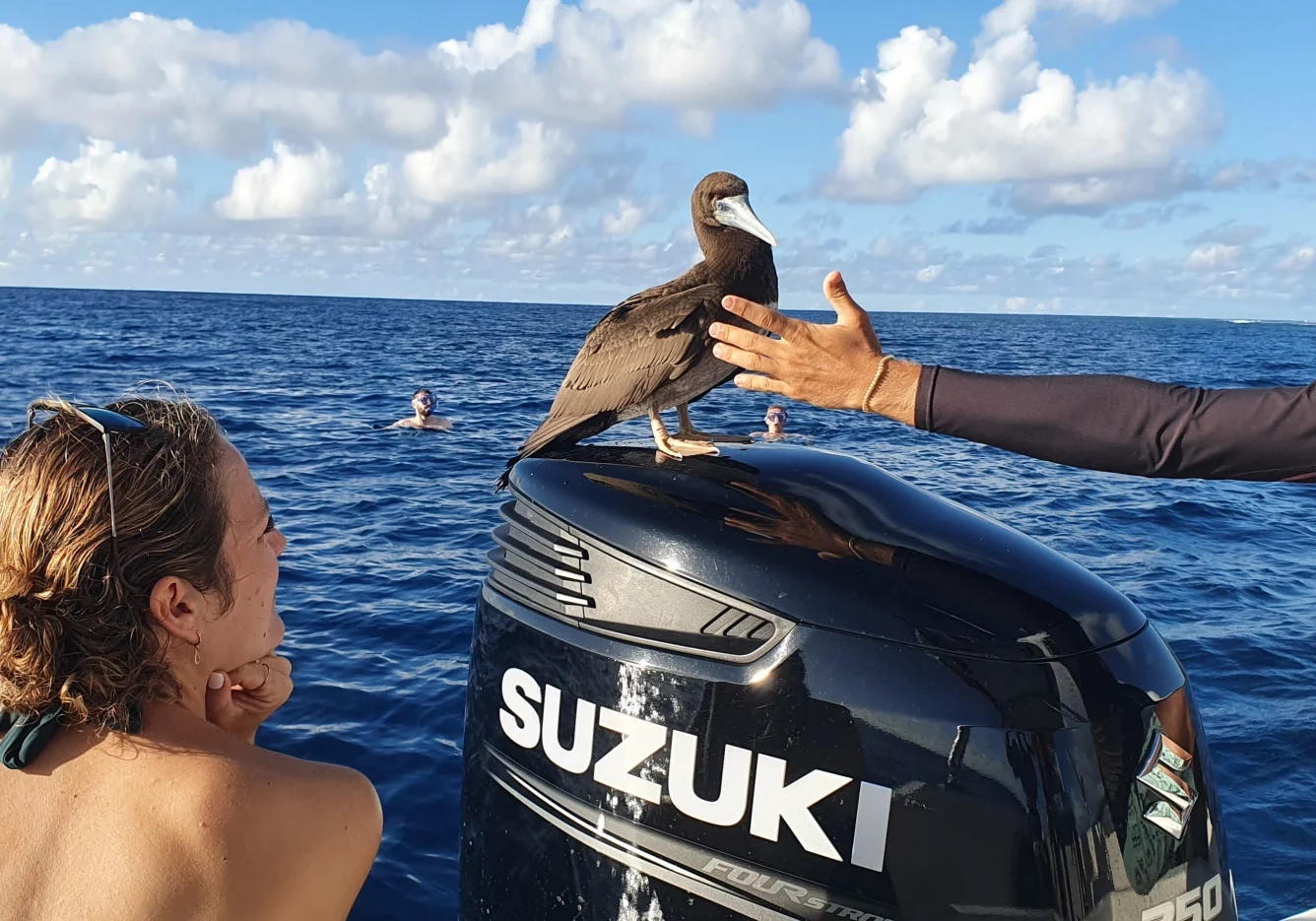 37 gal photo - lagon - hauteur 935