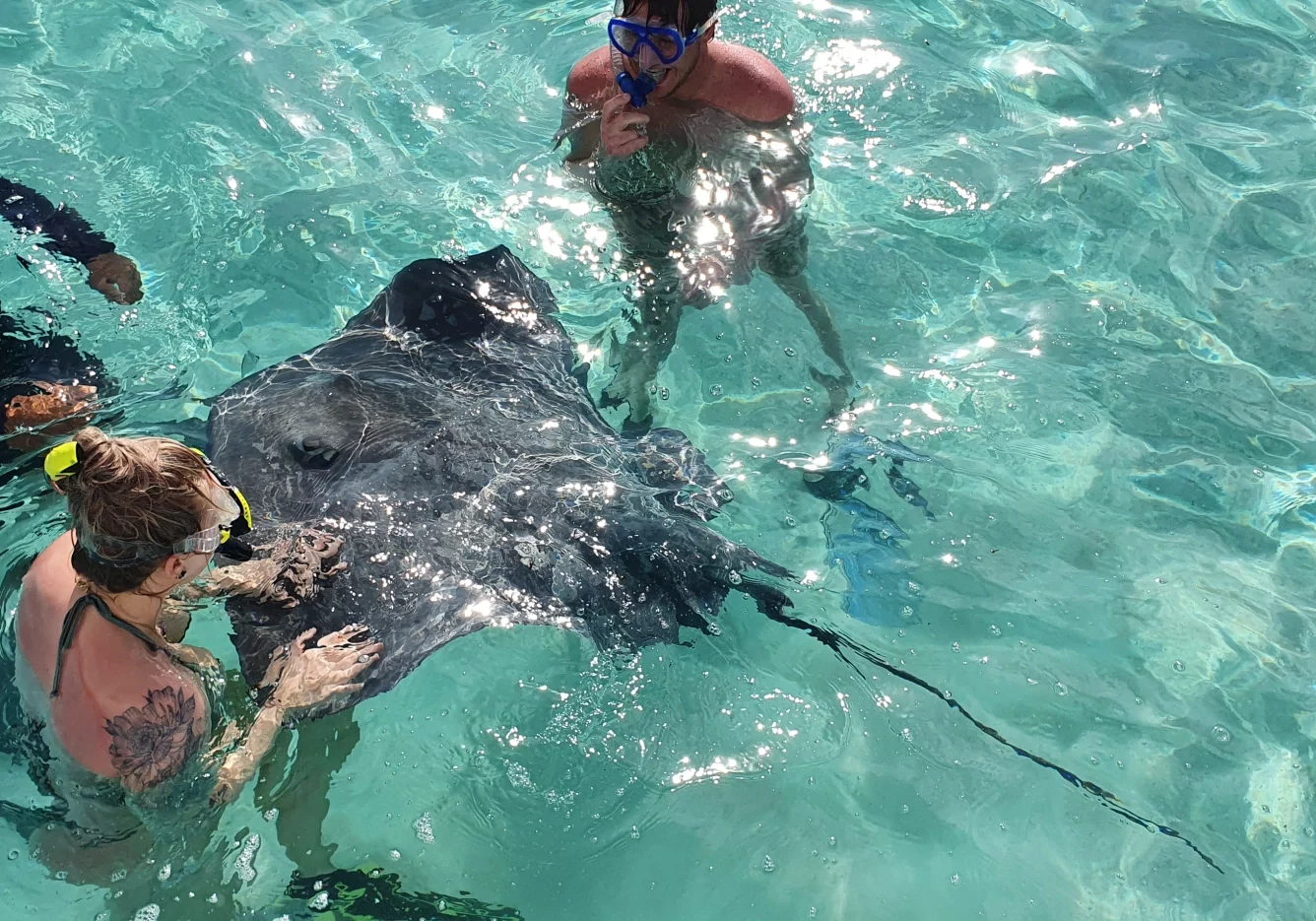 4 gal photo - lagon - hauteur 935