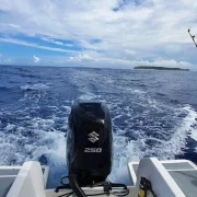 41 gal photo - peche - hauteur 935