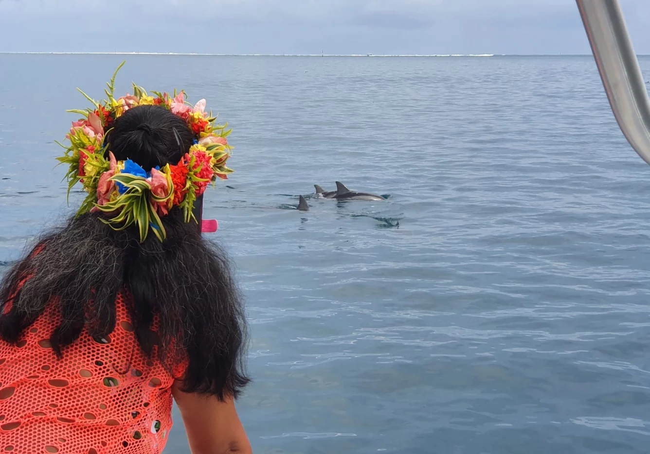 42 gal photo - lagon - hauteur 935