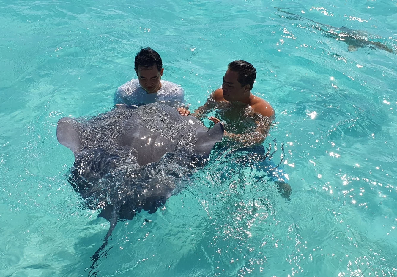 44 gal photo - lagon - hauteur 935