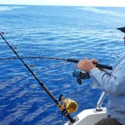 46 gal photo - peche - hauteur 935