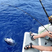 49 gal photo - peche - hauteur 935