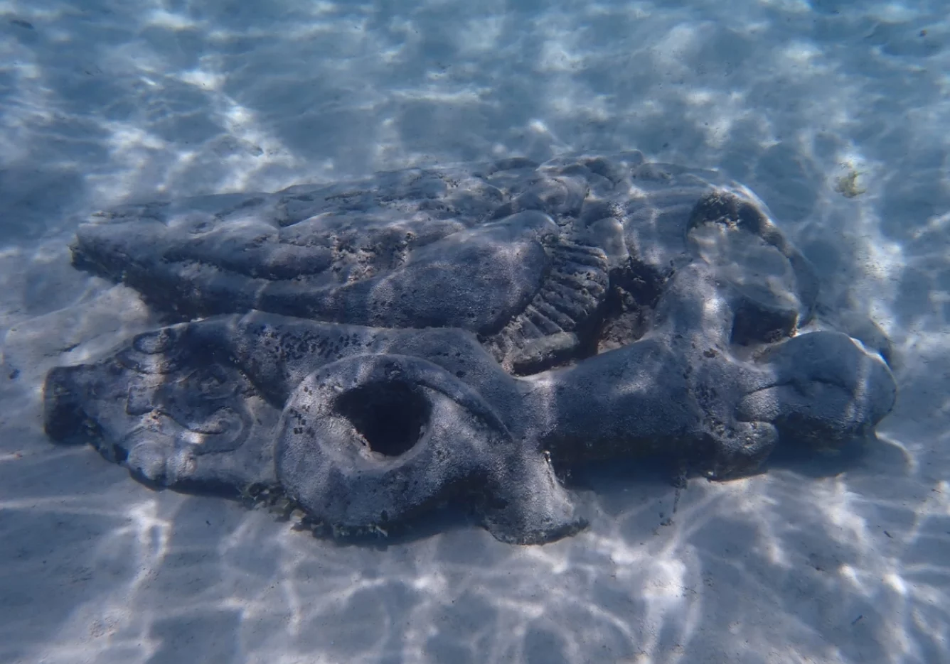 55 gal photo - lagon - hauteur 935